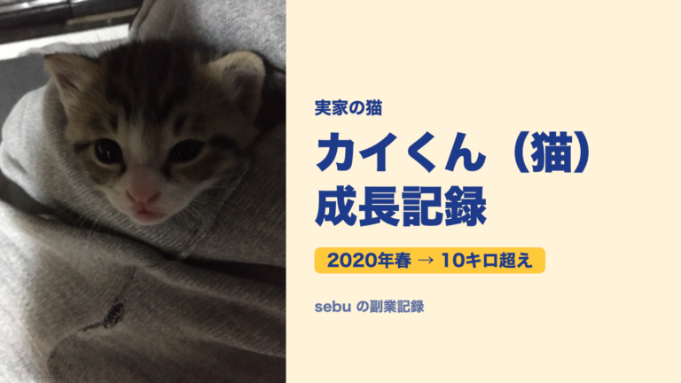 【カイくん（猫）成長記録】茶トラ白の子猫が10キロ超えの猫様に｜写真159枚