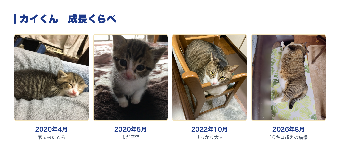 カイくん 成長くらべ(2020年4月 → 2026年8月)