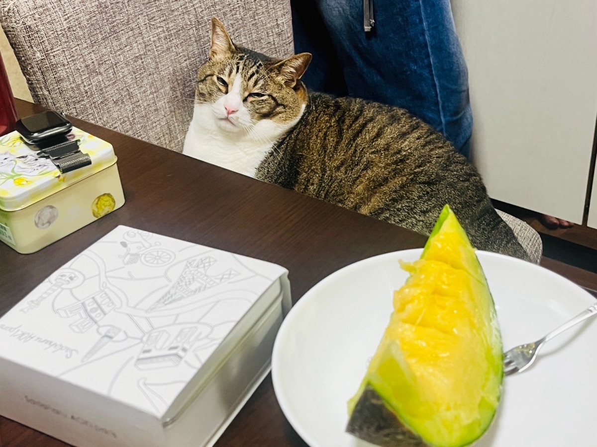 カイくん 2024年7月ごろ